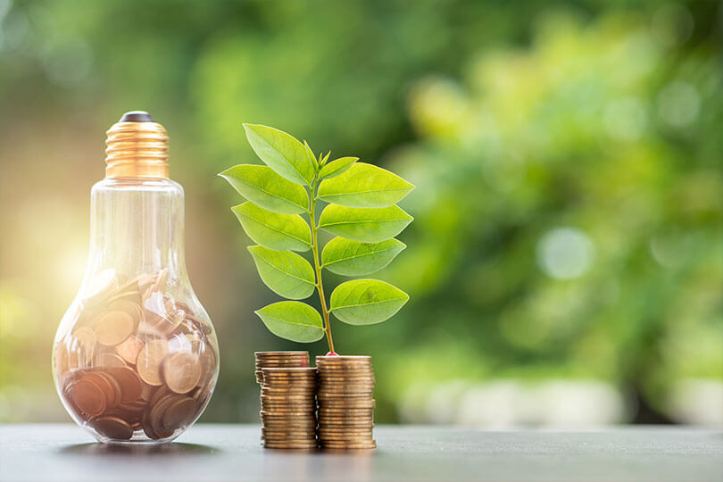 lightbulb full of coins sits beside coin stacks with a plant resting on top