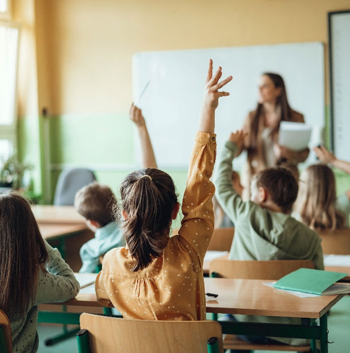 student raises hand in classroom