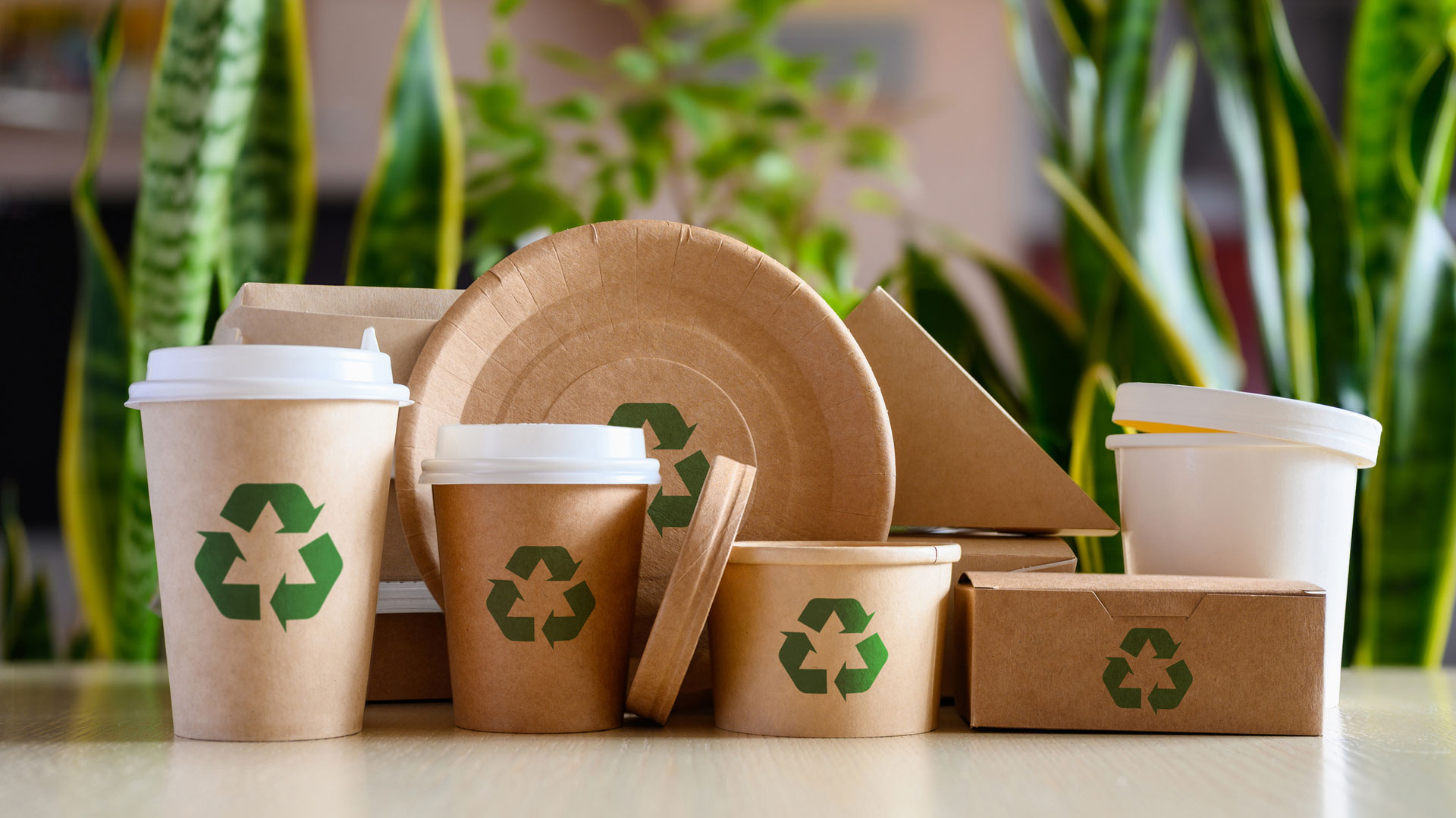 recyclable products