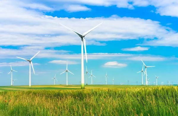 wind turbines in the field